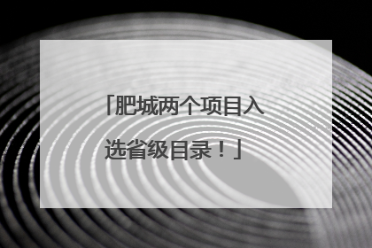 肥城两个项目入选省级目录！