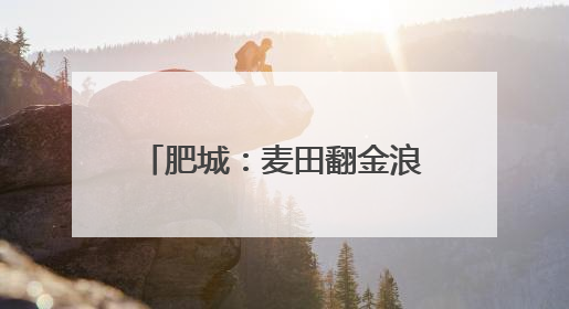 肥城：麦田翻金浪藏粮有“智”方