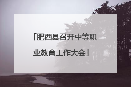 肥西县召开中等职业教育工作大会