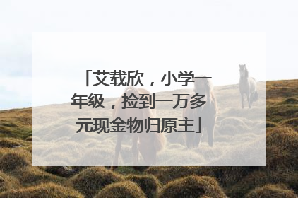 艾载欣，小学一年级，捡到一万多元现金物归原主