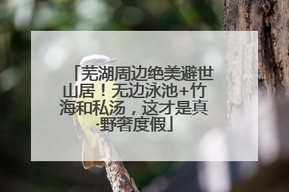 芜湖周边绝美避世山居！无边泳池+竹海和私汤，这才是真·野奢度假