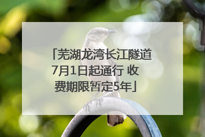 芜湖龙湾长江隧道7月1日起通行 收费期限暂定5年