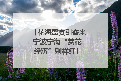 花海盛宴引客来 宁波宁海“赏花经济”别样红