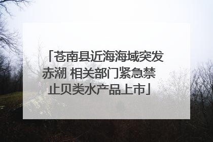 苍南县近海海域突发赤潮 相关部门紧急禁止贝类水产品上市
