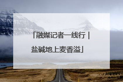 融媒记者一线行｜盐碱地上麦香溢