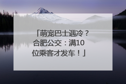 萌宠巴士遇冷？合肥公交：满10位乘客才发车！