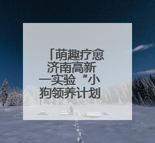 萌趣疗愈 济南高新一实验“小狗领养计划”心理活动举行
