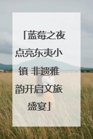 蓝莓之夜点亮东夷小镇 非遗雅韵开启文旅盛宴