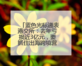 蓝色光标递表港交所：去年亏损近3亿元，要抓住出海跨境营销机遇