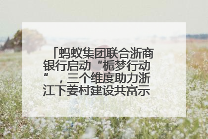 蚂蚁集团联合浙商银行启动“栀梦行动”，三个维度助力浙江下姜村建设共富示范区示范点