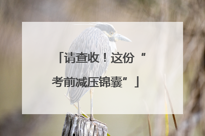 请查收！这份“考前减压锦囊”