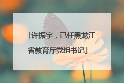许振宇，已任黑龙江省教育厅党组书记