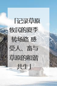 记录草原牧民的夏季转场路 感受人、畜与草原的和谐共生