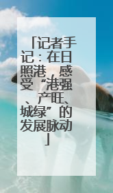 记者手记：在日照港，感受“港强、产旺、城绿”的发展脉动