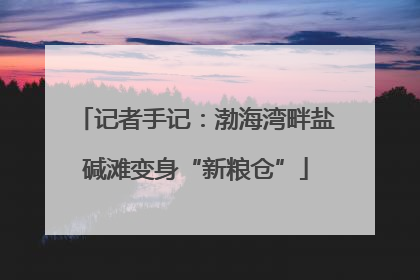 记者手记：渤海湾畔盐碱滩变身“新粮仓”