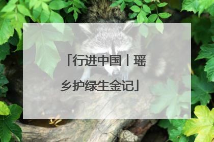 行进中国丨瑶乡护绿生金记