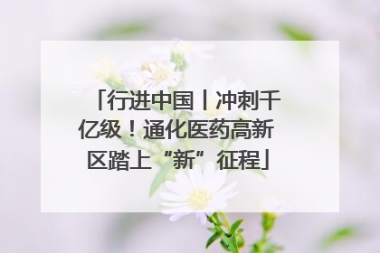 行进中国丨冲刺千亿级！通化医药高新区踏上“新”征程