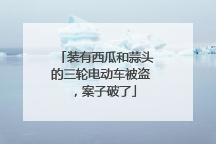 装有西瓜和蒜头的三轮电动车被盗，案子破了