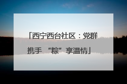 西宁西台社区：党群携手 “粽”享温情