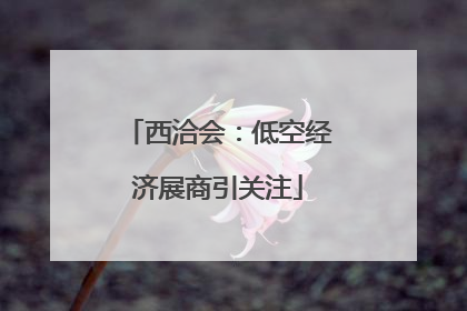 西洽会：低空经济展商引关注