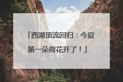 西湖顶流回归：今夏第一朵荷花开了！