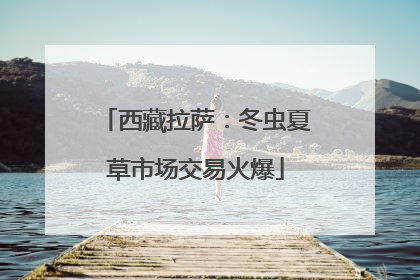 西藏拉萨：冬虫夏草市场交易火爆