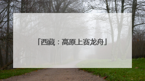 西藏：高原上赛龙舟