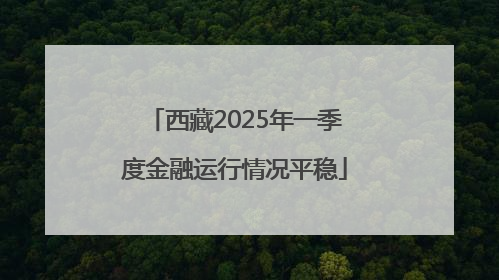 西藏2025年一季度金融运行情况平稳