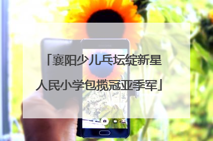 襄阳少儿乓坛绽新星 人民小学包揽冠亚季军