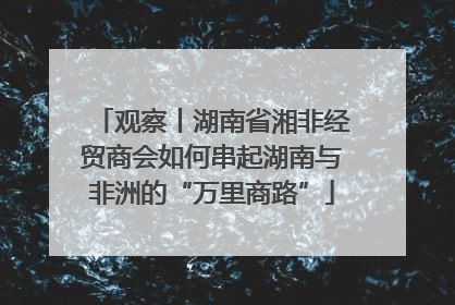 观察丨湖南省湘非经贸商会如何串起湖南与非洲的“万里商路”