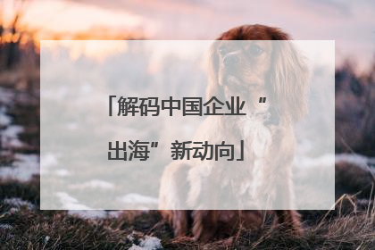 解码中国企业“出海”新动向