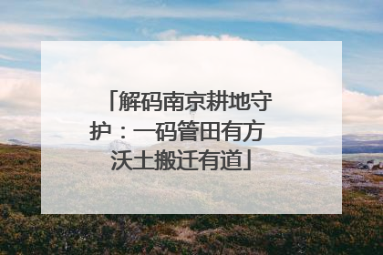 解码南京耕地守护：一码管田有方 沃土搬迁有道