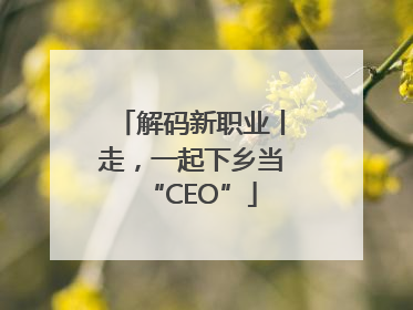 解码新职业丨走，一起下乡当“CEO”