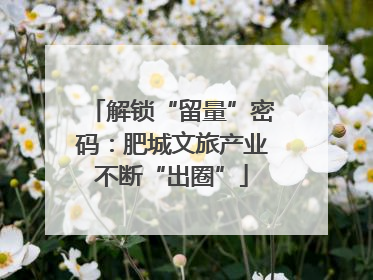 解锁“留量”密码：肥城文旅产业不断“出圈”