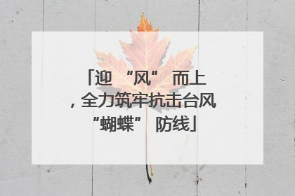 迎 “风” 而上，全力筑牢抗击台风 “蝴蝶” 防线