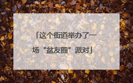这个街道举办了一场“盆友圈”派对