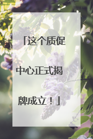 这个质促中心正式揭牌成立！