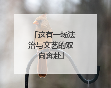 这有一场法治与文艺的双向奔赴