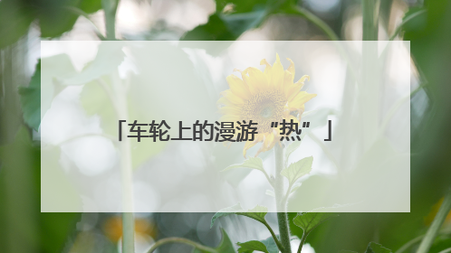 车轮上的漫游“热”