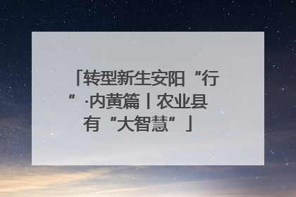转型新生安阳“行”·内黄篇丨农业县有“大智慧”