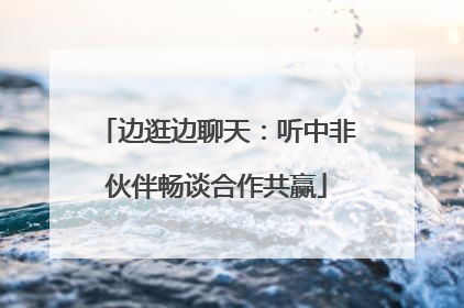 边逛边聊天：听中非伙伴畅谈合作共赢