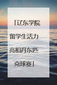辽东学院留学生活力亮相丹东匹克球赛