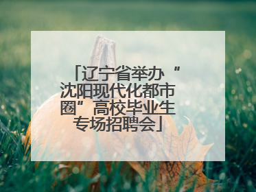 辽宁省举办“沈阳现代化都市圈”高校毕业生专场招聘会