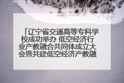 辽宁省交通高等专科学校成功举办 低空经济行业产教融合共同体成立大会暨共建低空经济产教融合新生态论坛