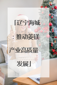 辽宁海城：推动菱镁产业高质量发展