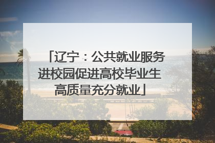 辽宁：公共就业服务进校园促进高校毕业生高质量充分就业