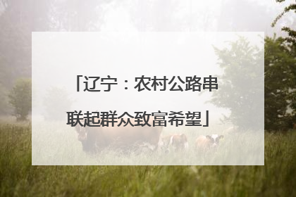 辽宁：农村公路串联起群众致富希望