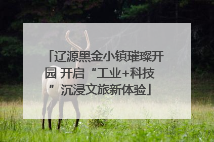 辽源黑金小镇璀璨开园 开启“工业+科技”沉浸文旅新体验
