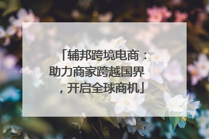 辅邦跨境电商：助力商家跨越国界，开启全球商机