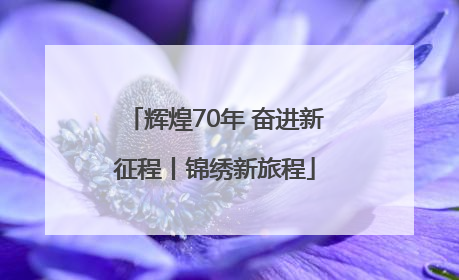 辉煌70年 奋进新征程丨锦绣新旅程